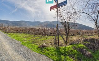 Casuță cu priveliște panoramică spre Cetatea Șiria - Poză 29