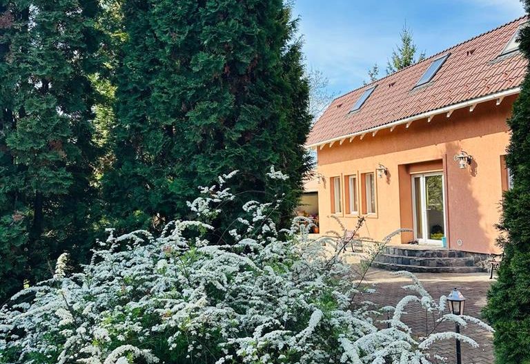 Vila remarcabila+casa boiereasca,in pretios areal de 2.100 mp, Santana de Mures - Poză 6