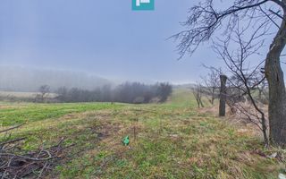 Casă și teren 5.000 mp în Poiana-Tășad, Bihor - Poză 9