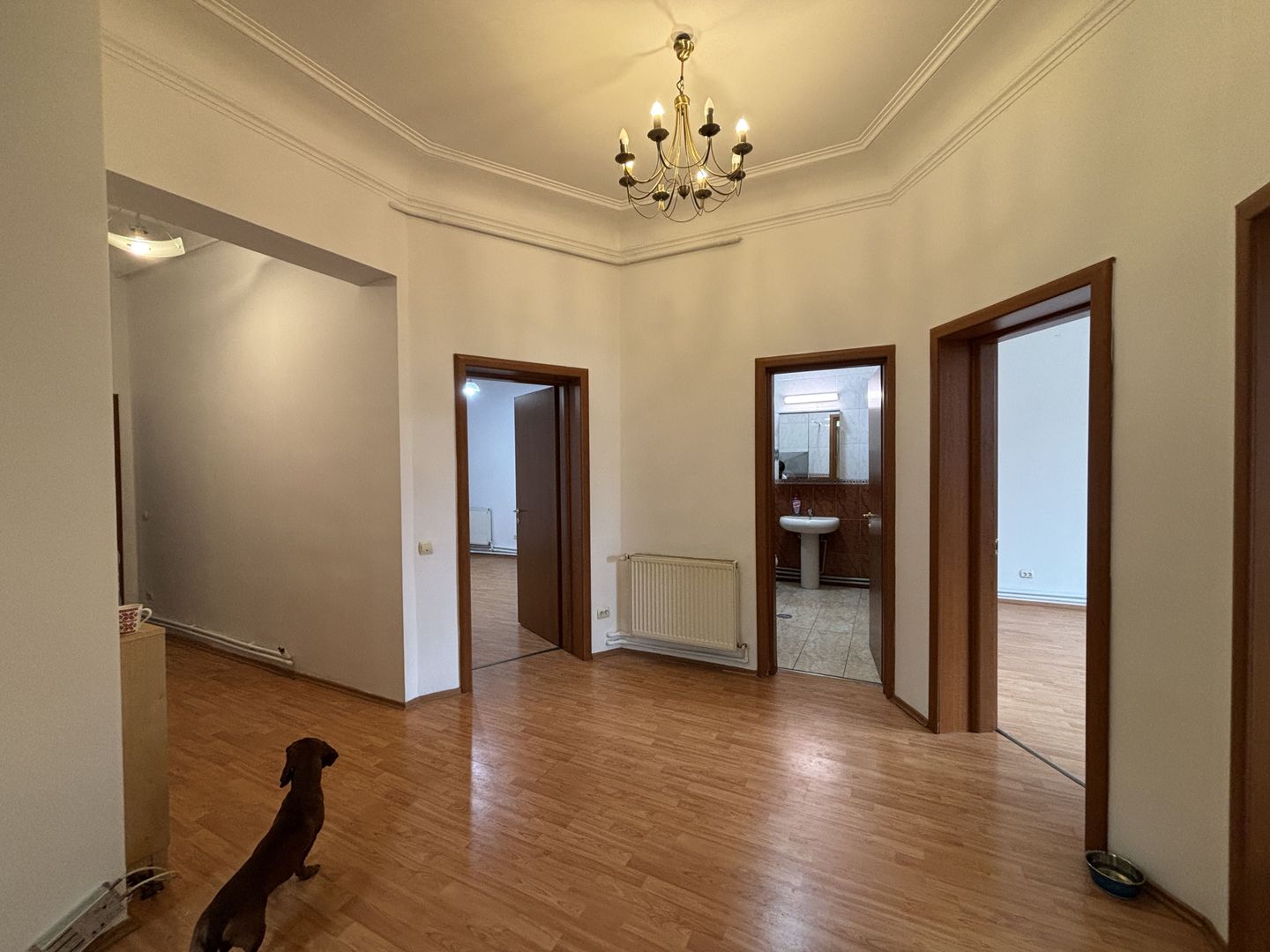 Apartament 4 Camere | 100 mp|Căderea Bastiliei|Birou sau Rezidential - Poză 5