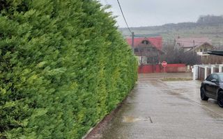 Teren Bucium 3 min de Hanul 3 sarmale, la Soseaua Barnova - # - Poză 8