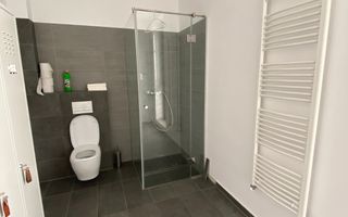 Spațiu Birouri Dumbrăvița - Poză 24