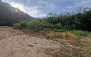 AZURA Imobiliare - Vanzare teren Hintesti, langa padure, 300m din DN - Poză 15