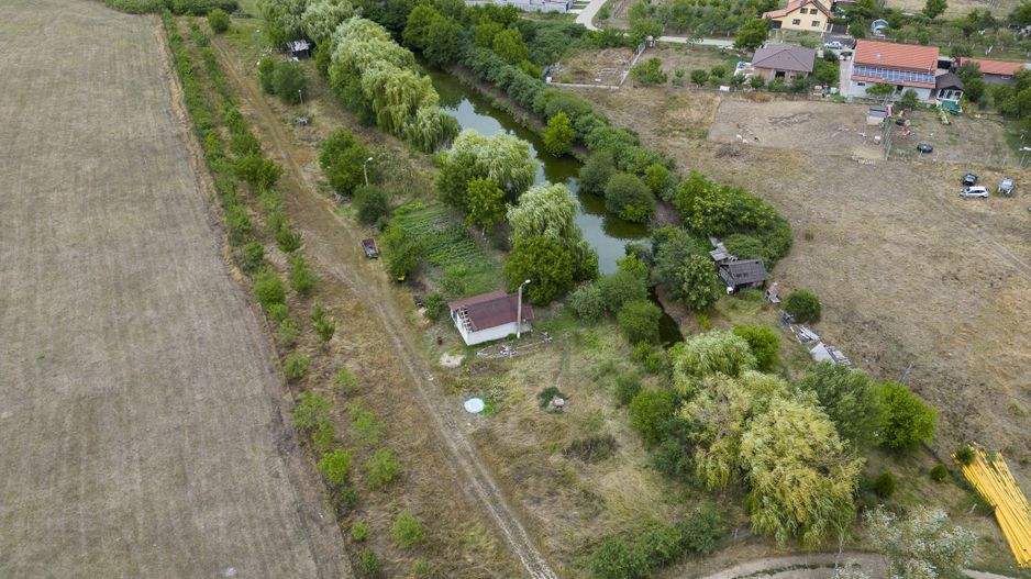 Teren de 7900 mp cu baltă de pescuit în Frumușeni - Poză 4