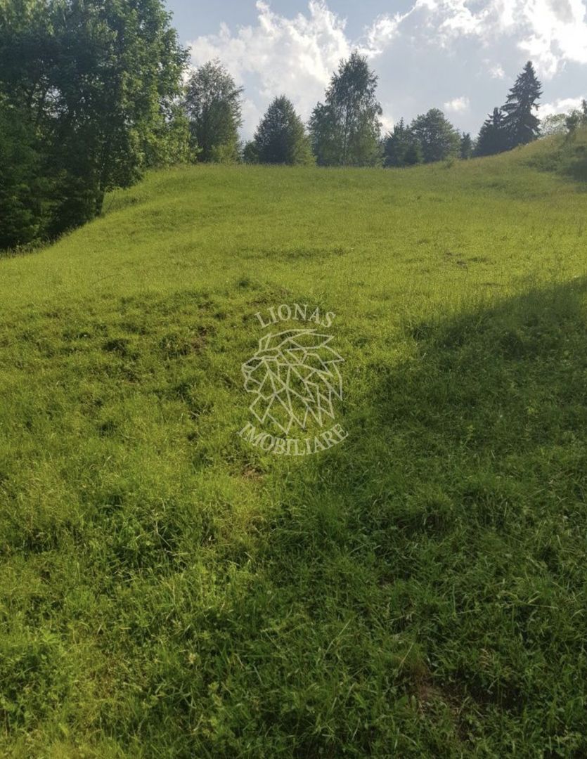 Teren 2,3ha si Padure 1ha-zona deosebita-Pasul Tihuta-EXCLUSIV - Poză 7