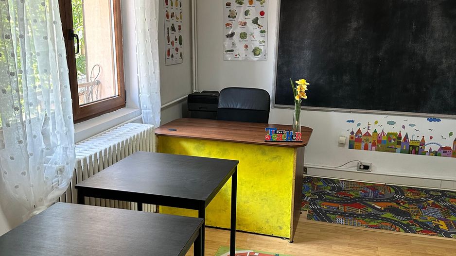 SPATIU COMERCIAL DOMENII, LOC PARCARE, CENTRALA, MOBILAT/UTILAT, CURTE - Poză 20