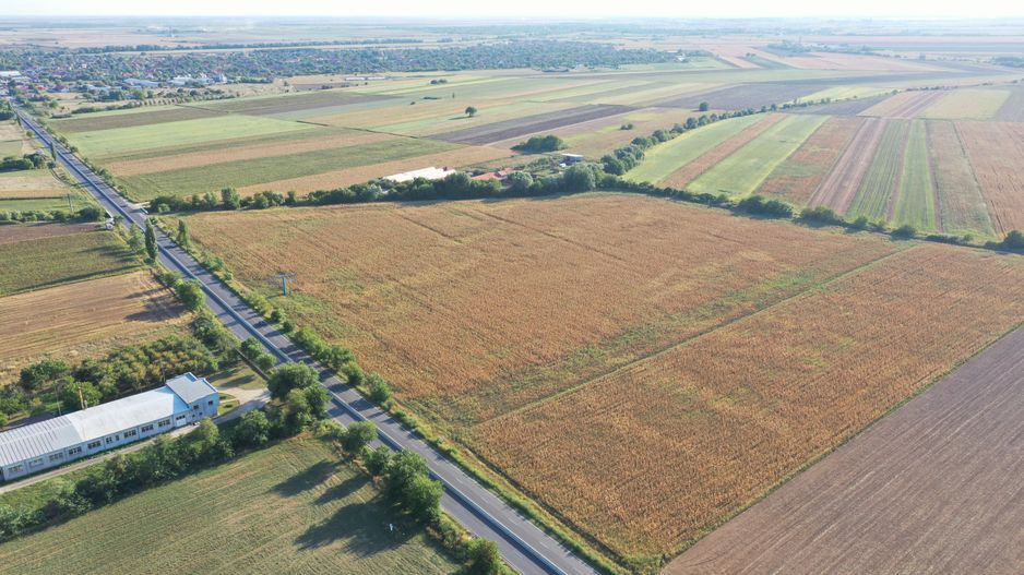 TEREN SAG 2 HA  CU FRONT STRADAL 56 ML LA SOSEA - Poză 3