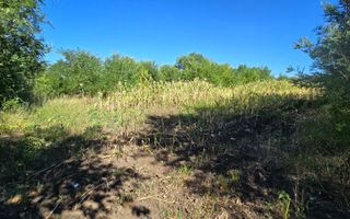 10 ari pentru construcții agroindustriale - Poză 7