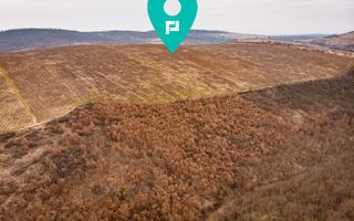 Vie de 115 Hectare în satul Dud, județul Arad - Poză 6