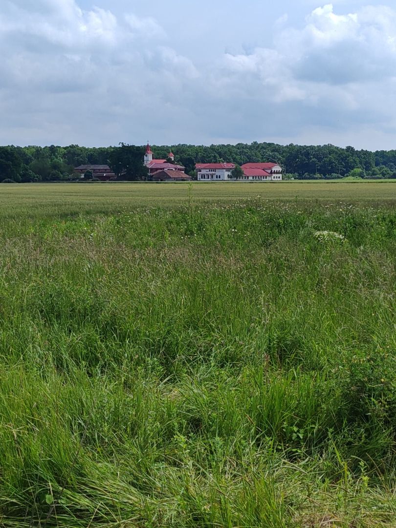 Parcele teren cu PUZ , P+1E+M, zona Manastire - Poză 1