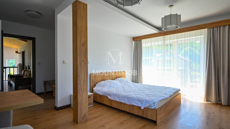 Afacere la cheie in Râșnov, venituri imediate, Clasificare 3 Stele - Poză 7