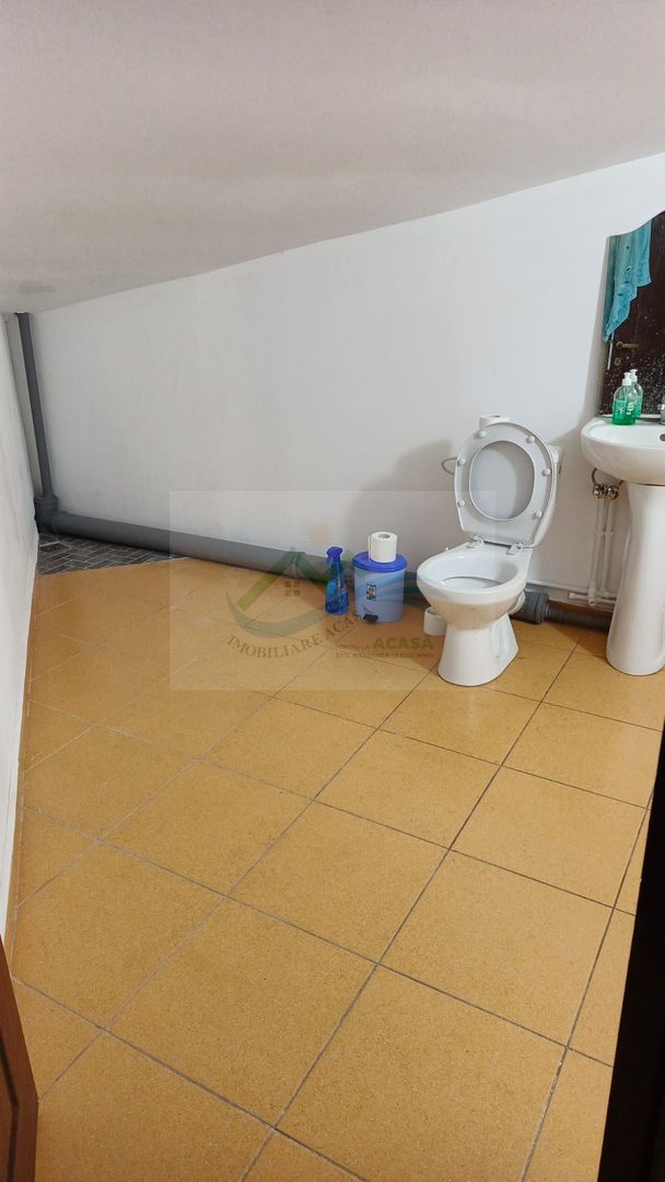 Pensiune/Unitate de cazare/Vila Burdujeni Suceava - Poză 23