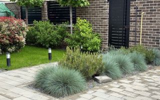 Casa individuală/ Cartier Grigorescu/ Zona Promenada Grigorescu - Poză 6