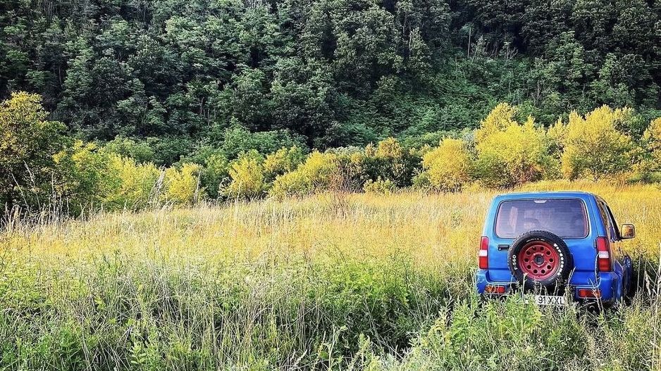 Casă la gri + teren 16.418 mp | Potențial dezvoltare turistică | PUZ - Poză 41