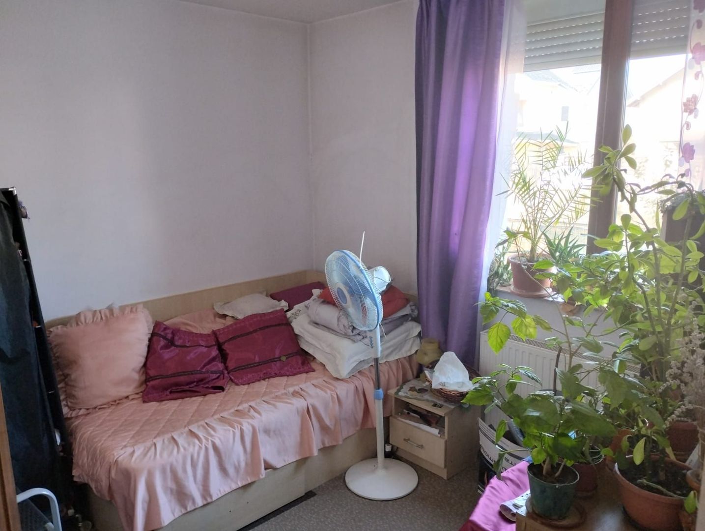 Vila ta de vis te așteaptă! - Poză 13