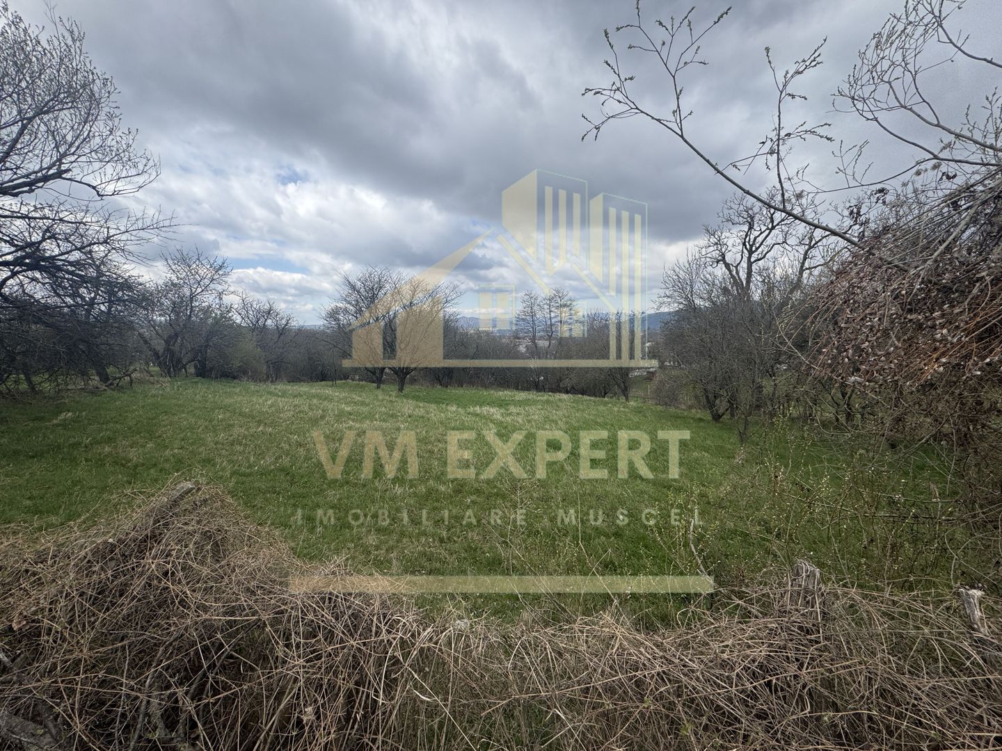 TEREN INTRAVILAN 2153 MP IN VALEA MARE PRAVAT - Poză 1