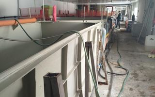 Pensiune + fermă piscicolă (sturion/caviar) | Saru Dornei/Sarisor - Poză 4