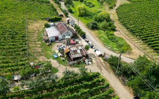 Vie Tradițională „Halta Lupilor” - Poză 48