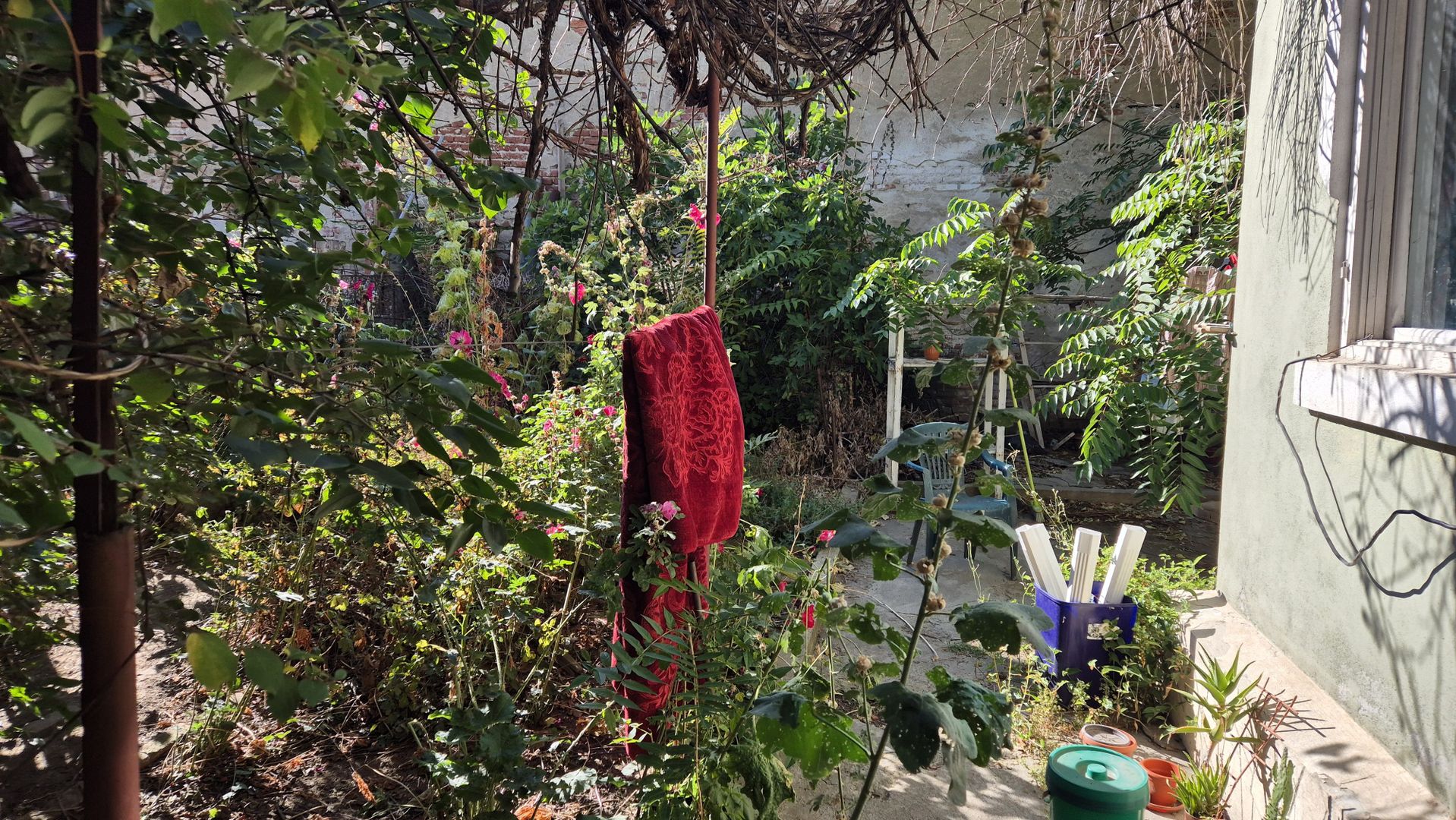 Teren 234 mp + casa P+1 - zona Turda - Mihalache - Poză 6