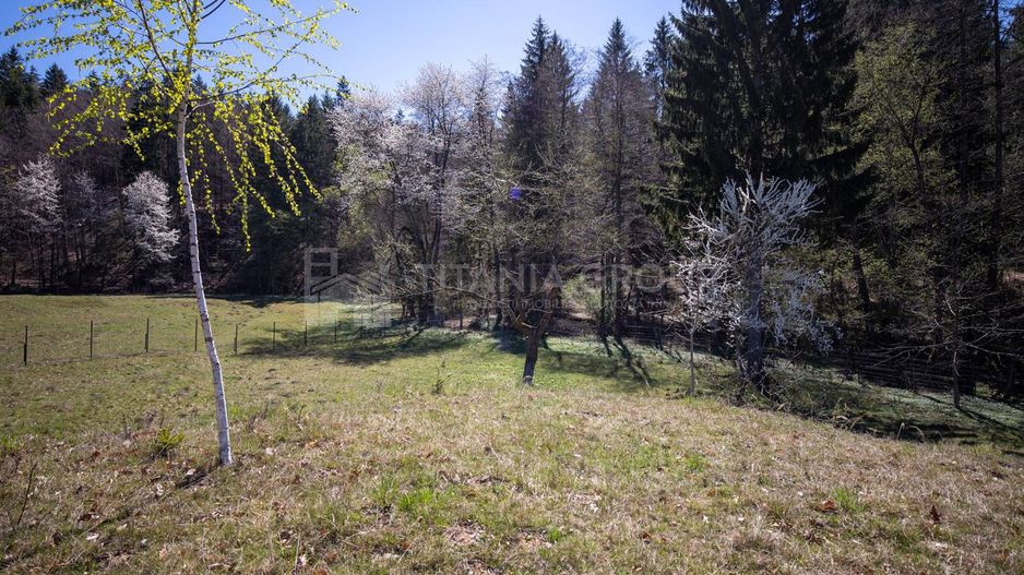 Teren intravilan, pretabil pentru casa de vacanta, 2000 mp - Poză 5