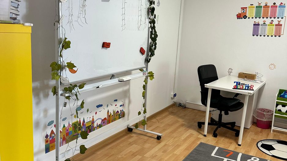 SPATIU COMERCIAL DOMENII, LOC PARCARE, CENTRALA, MOBILAT/UTILAT, CURTE - Poză 4