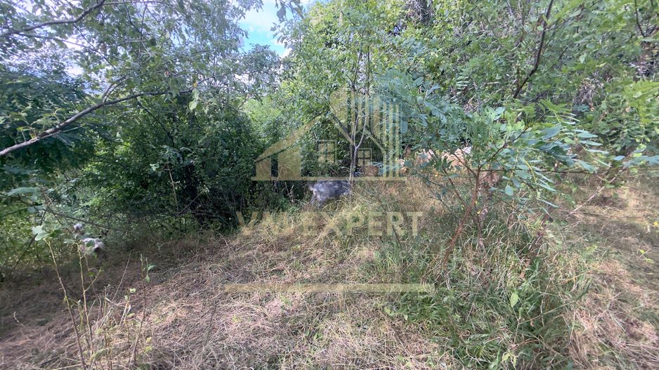 CASA 3 CAMERE TEREN 7770 MP BOTENI ARGEȘ - Poză 25