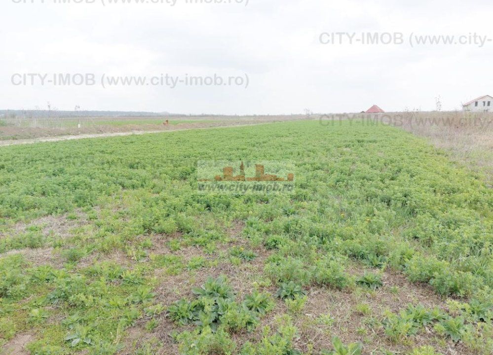 Teren de vanzare Cocani, Crevedia, langa  padure Dambovita - Poză 10