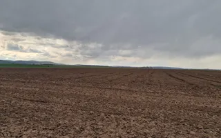Teren 10,000mp Bacau / Strada Alexandru Safran - Poză 12