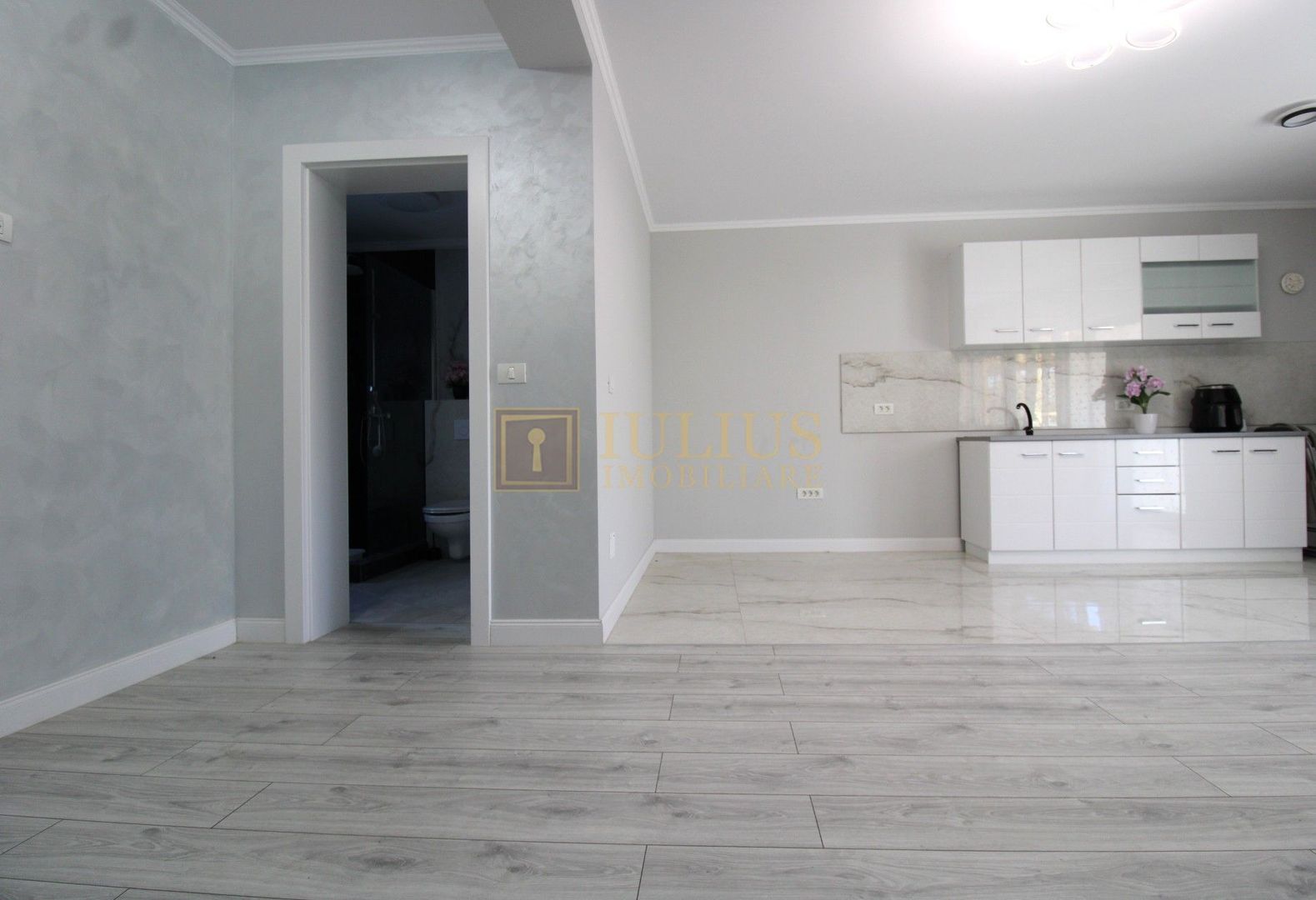 Curte, 4 apartamente, 8 camere, perfectă pt activități educaționale-Dumbravita - Poză 4