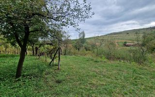 Casa individuala | 120 mp | 1390 mp teren | Livada | Cetea - Poză 11