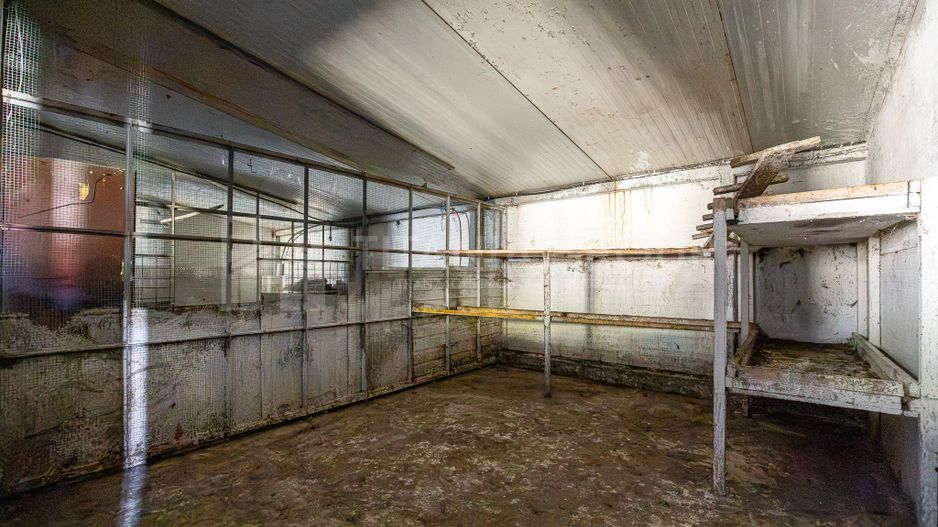 Casă 4 camere, garaj, foișor, grajd, 6000mp teren lângă padure - Poză 20