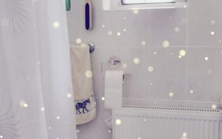 Vanzare apartament doua camere Busteni - Poză 21