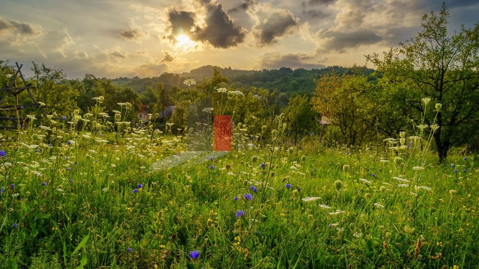 Teren intravilan Boteni Arges - Poză 15