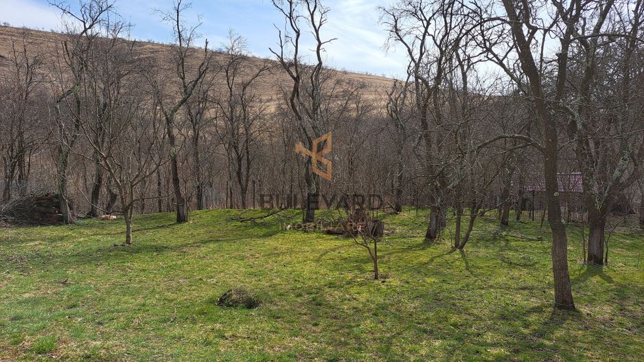 Teren intravilan 2200 mp in Ciurila la 16 km de Cluj-Napoca! - Poză 5