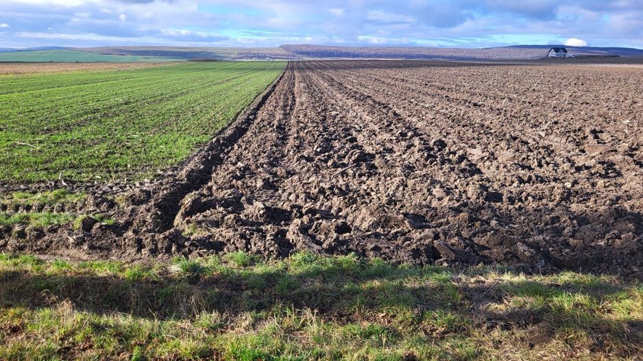 Teren 36 Ari | Mitocu Dragomirnei | 25.500 € - Poză 2