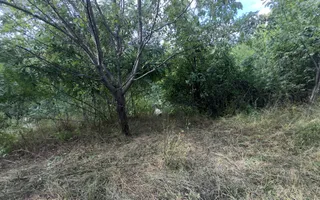 CASA 3 CAMERE TEREN 7770 MP BOTENI ARGEȘ - Poză 28