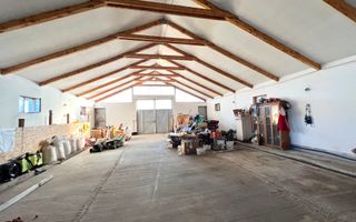 Ferma de vanzare cu 550MP utili si 27.500MP teren la asfalt - Poză 20