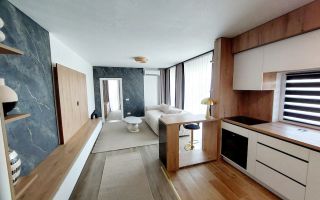 Apartament 2 camere Dumbravita etaj 1 - Poză 6