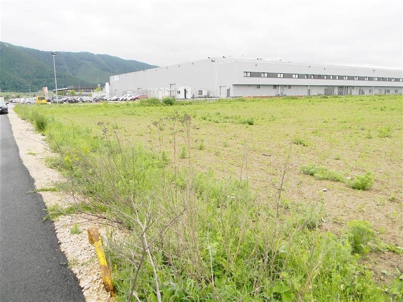 Teren pentru hale-Ghimbav-Joysonquin - Poză 1