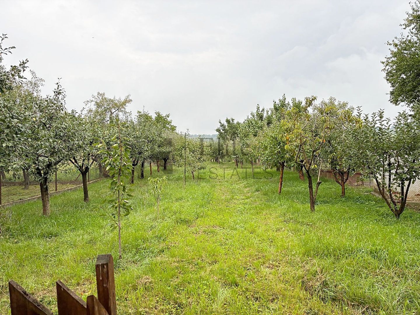 Casa noua cu livada de vanzare in Betfia, Bihor - Poză 4