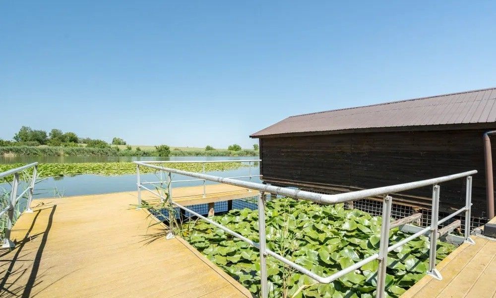 Vila exclusivistă de inchiriat | pe malul lacului Snagov - Poză 15