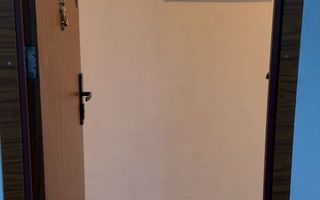 APARTAMENT LUMINOS ZONA TINERETULUI - Poză 4