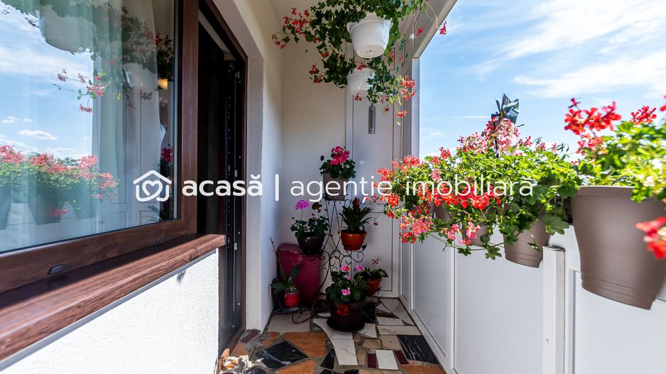 Apartament renovat cu 2 camere Micalaca etaj 3 Comision 0 - Poză 4