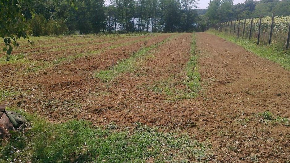 Teren intravilan | Langa lac si padure | Ciolpani - Poză 1