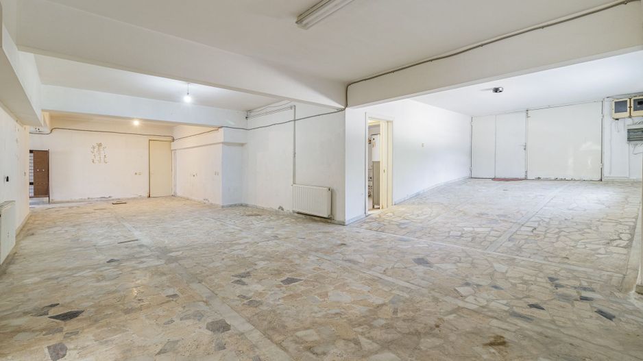 Domeniu privat 5.000 mp, cu reședință de 625 mp și piscină, Corbeanca - Poză 21