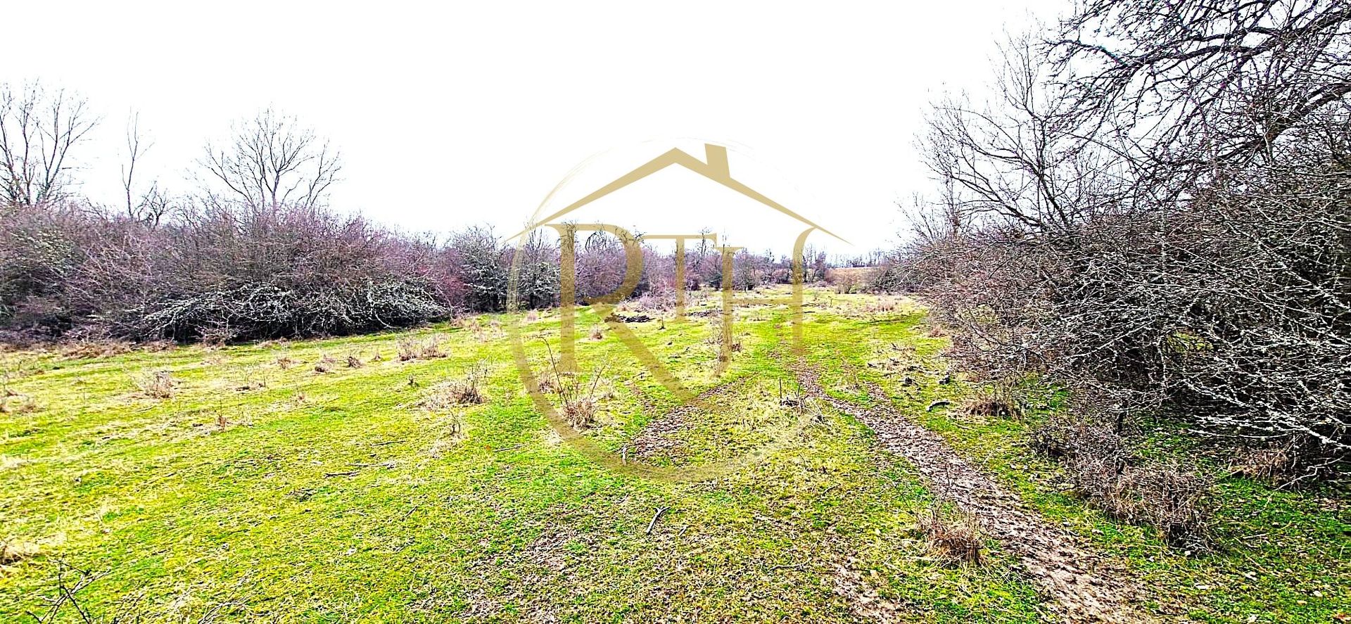 Terenuri extravilane de vânzare – Vizma & Crivobara, comuna Secaș, jud. Timiș - Poză 1