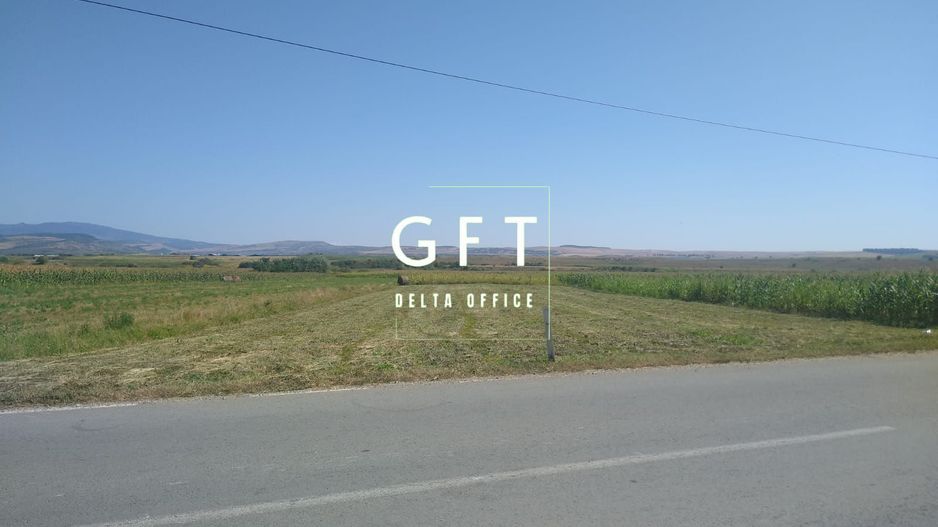 Teren 20000 mp - parcelabil - oportunitate investitie - Jelna - Poză 2