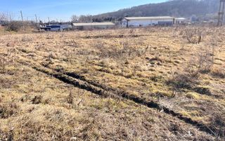 VanzareITeren Suceava/Itcani  I Intravilan I  12.478 Mp I 109 Euro/Mp - Poză 10