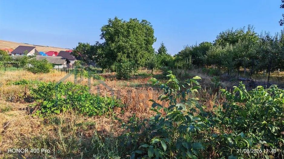 Teren de vânzare în Dealul Viilor, Hârlău – 2.100 mp, gard și pomi fructiferi - Poză 4