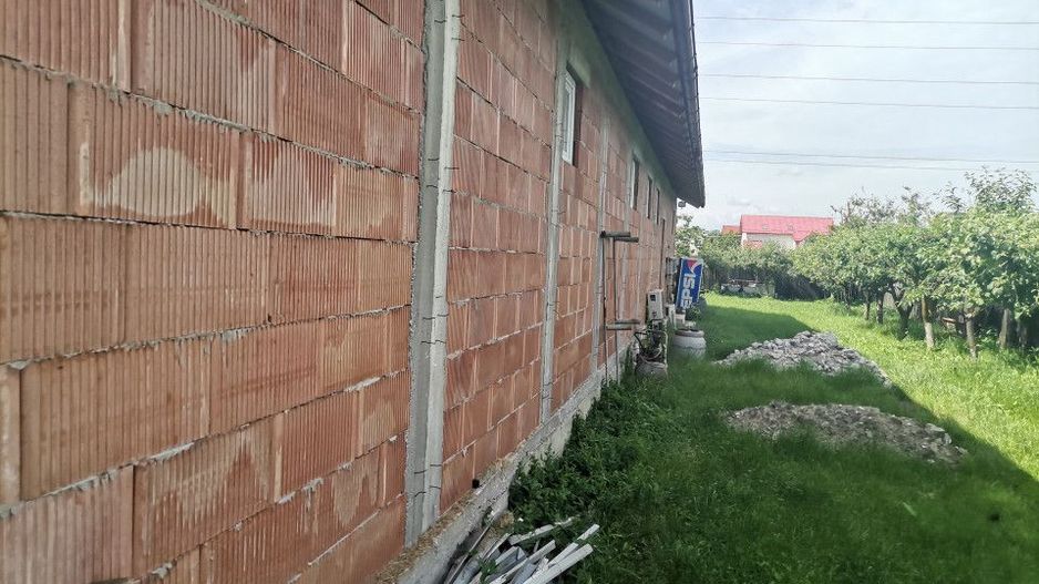 Inchiriere hala depozitare si teren, Labusesti - Poză 6